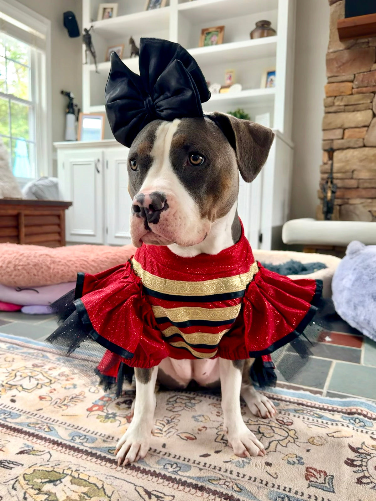 Nutcracker Princess Couture Dog Dress