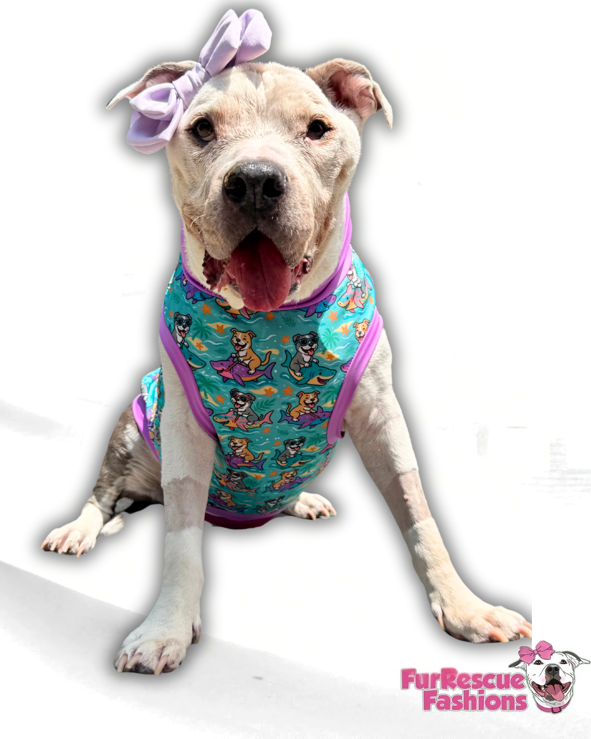 Getting Chummy Sharkie Dog Pajama with Lavender Trim