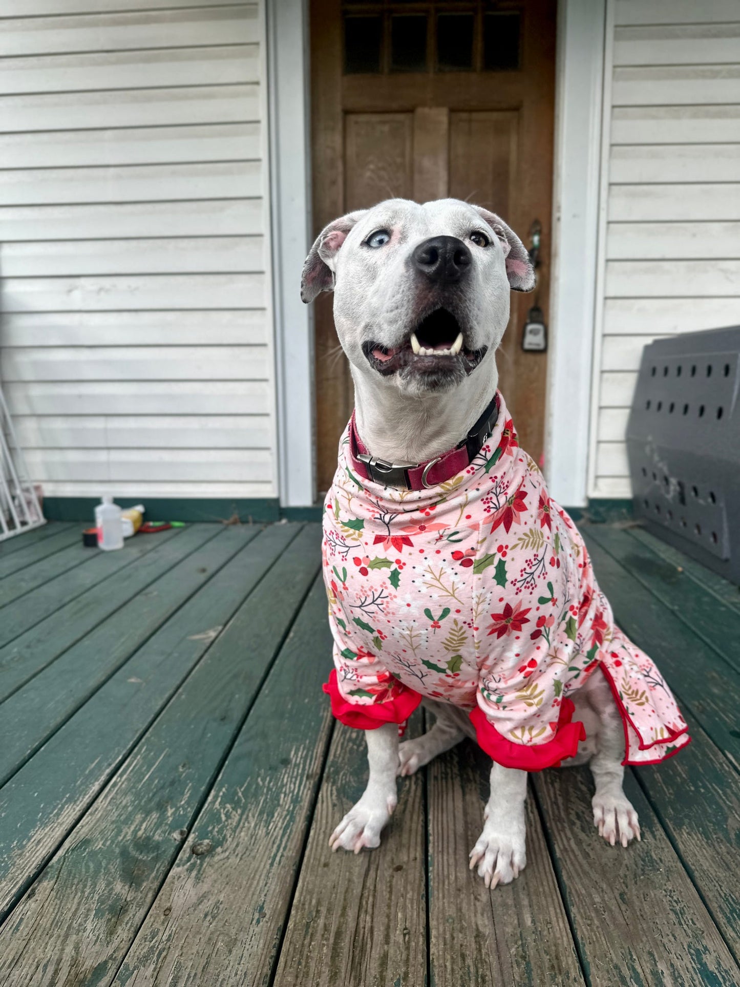 2026 Christmas in July Dog Dress With Ruffle / With Sleeves or Sleeveless (Available in any pattern)