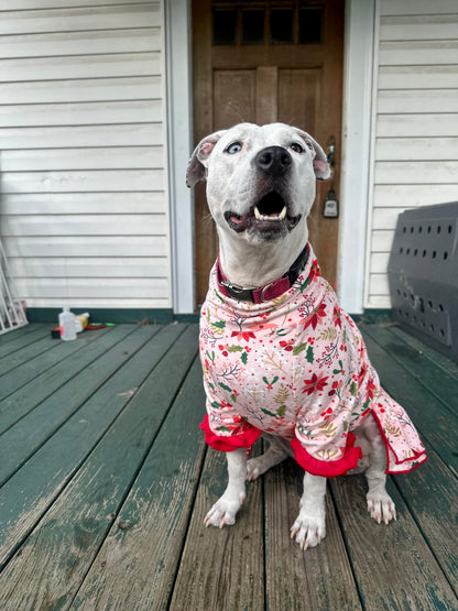 2026 Christmas in July Dog Dress With Ruffle / With Sleeves or Sleeveless (Available in any pattern)