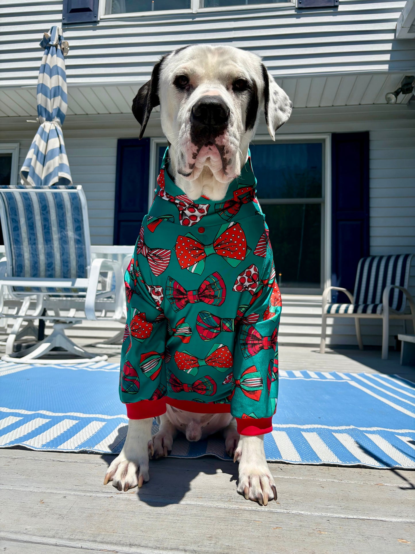 Jolly Holiday Bows - Dog Pajama with Red Neck & Trim/Sleeves