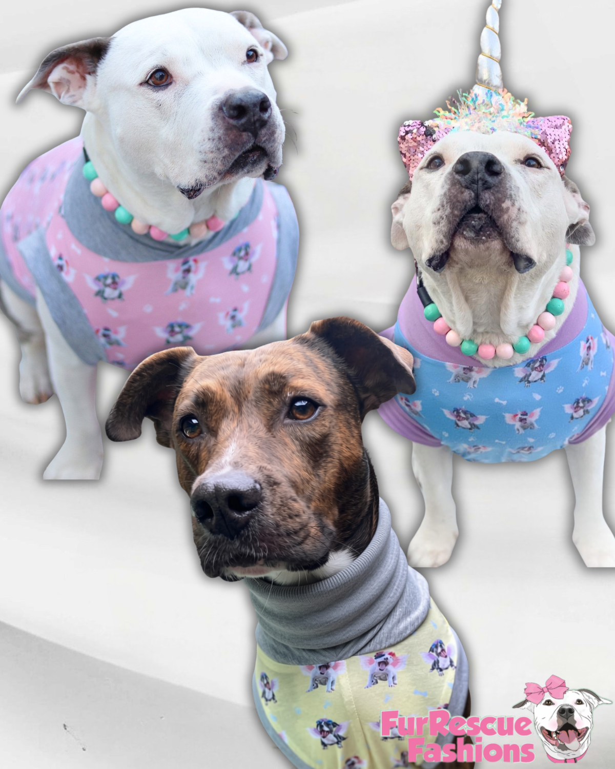 Magical Pittie Angels (Pink, Blue or Yellow)