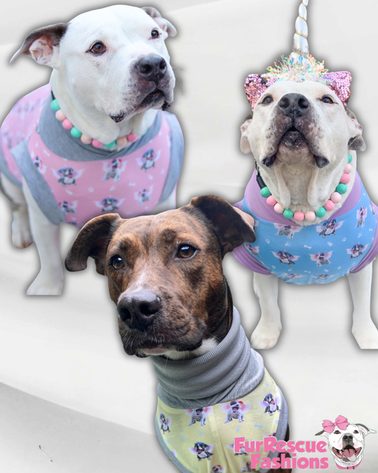 Magical Pittie Angels (Pink, Blue or Yellow)