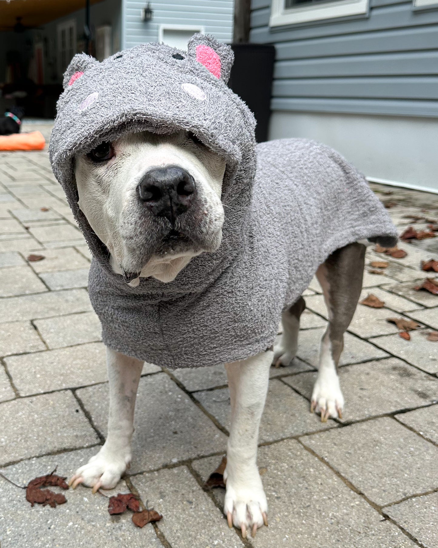 PAW-Robe Hippo