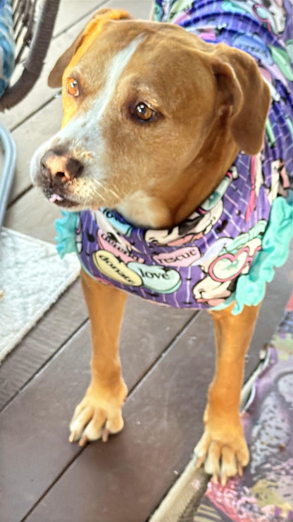 Cielo’s Legacy - Purple Pajama with Aqua Neck & Trim/Sleeves