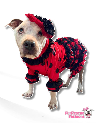 Señorita Flamenco Dog Dress