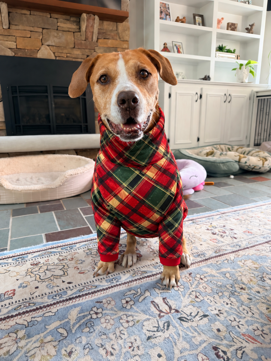 Classic Christmas Plaid Ultra-Luxe - Dog Pajama with Green Neck & Trim/Sleeves