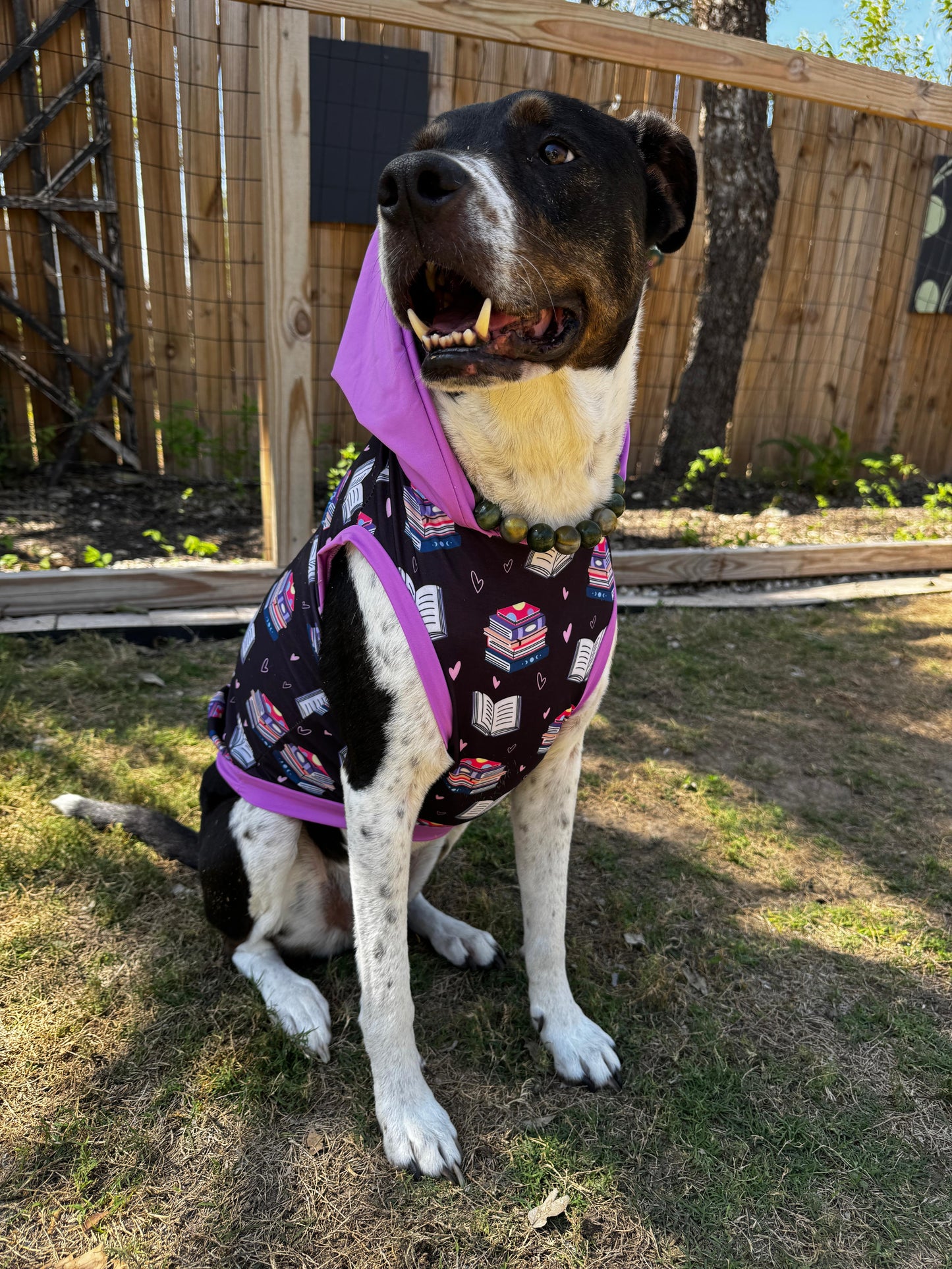 Study Buddy Pajama with Lavender Neck & Trim/Sleeves