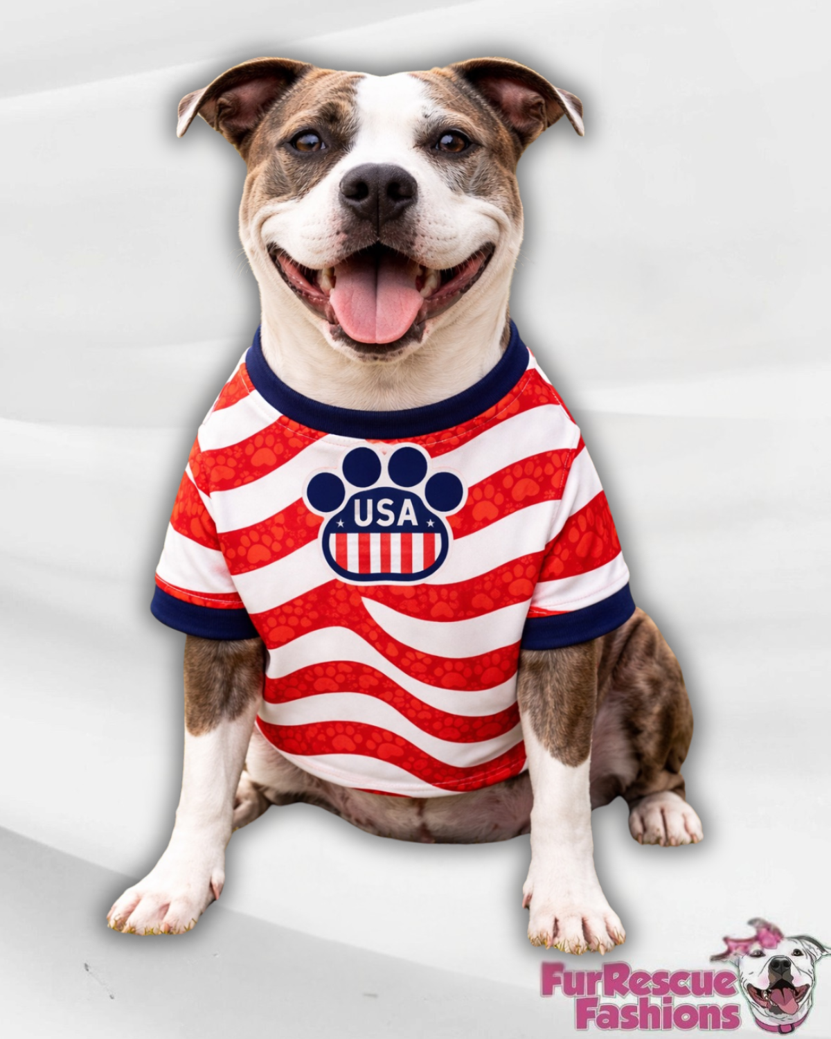 USA Dog Jersey or Ruffle Dress – Soccer Cup 2026 | Custom Pet Soccer Shirt ⚽️🐾