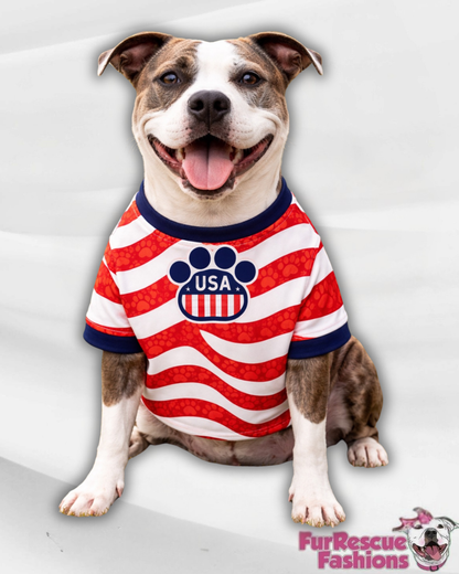 USA Dog Jersey or Ruffle Dress – Soccer Cup 2026 | Custom Pet Soccer Shirt ⚽️🐾
