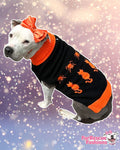 Spooky Halloween Night Knit Dog Vest