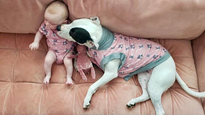 Magical Pittie Angels (Pink, Blue or Yellow)