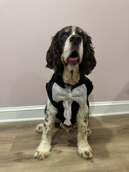 Sparkling Velvet Tux Dog Vest with Bow tie