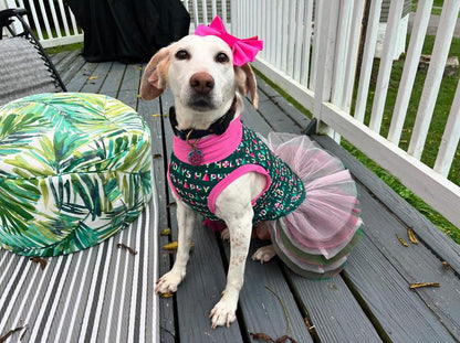 Happy Holidays - Dog Pajama with Hot Pink Neck & Trim/Sleeves