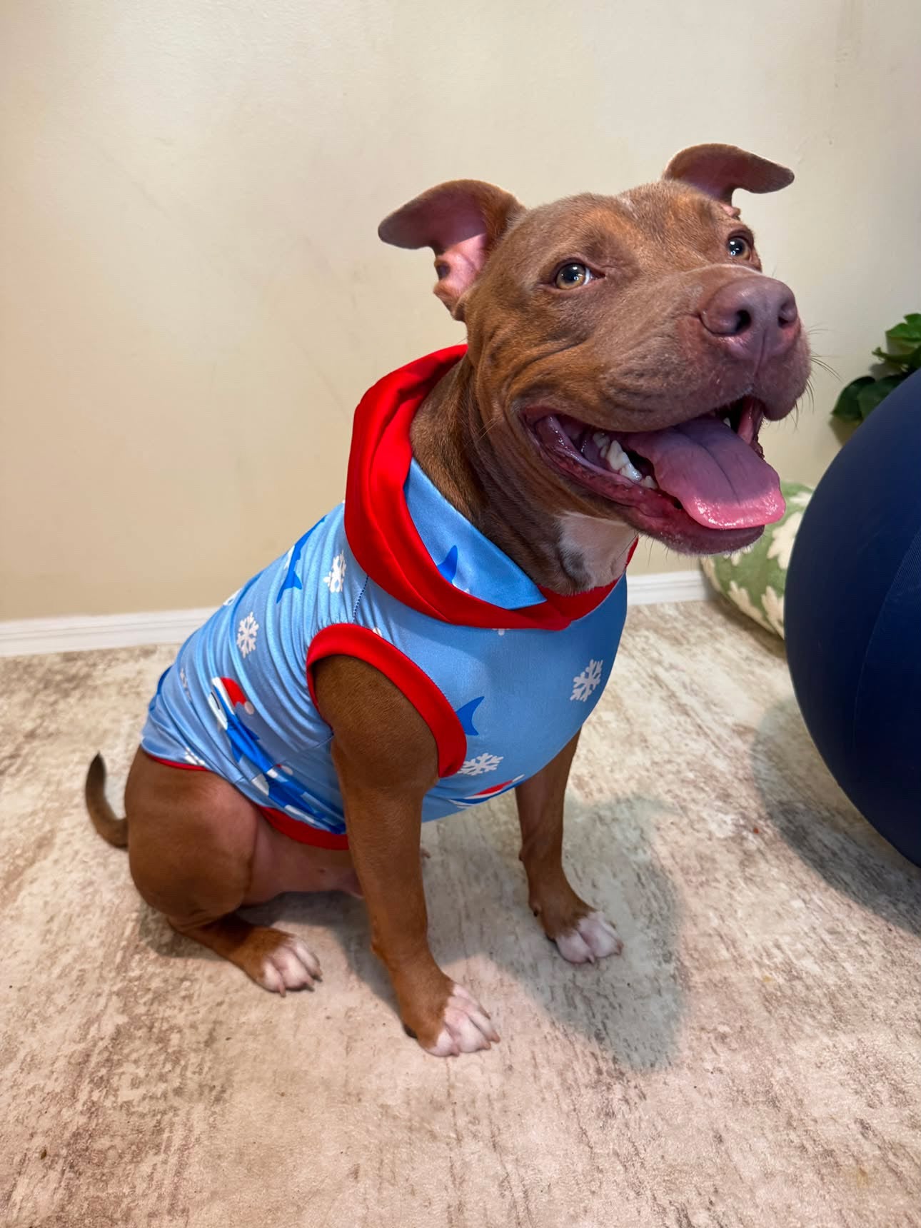 Santa Sharks - Dog Pajama with Red Neck & Trim/Sleeves