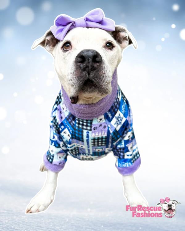 Winter Wonderland - PAWjama with Baby Blue Neck & Trim/Sleeves