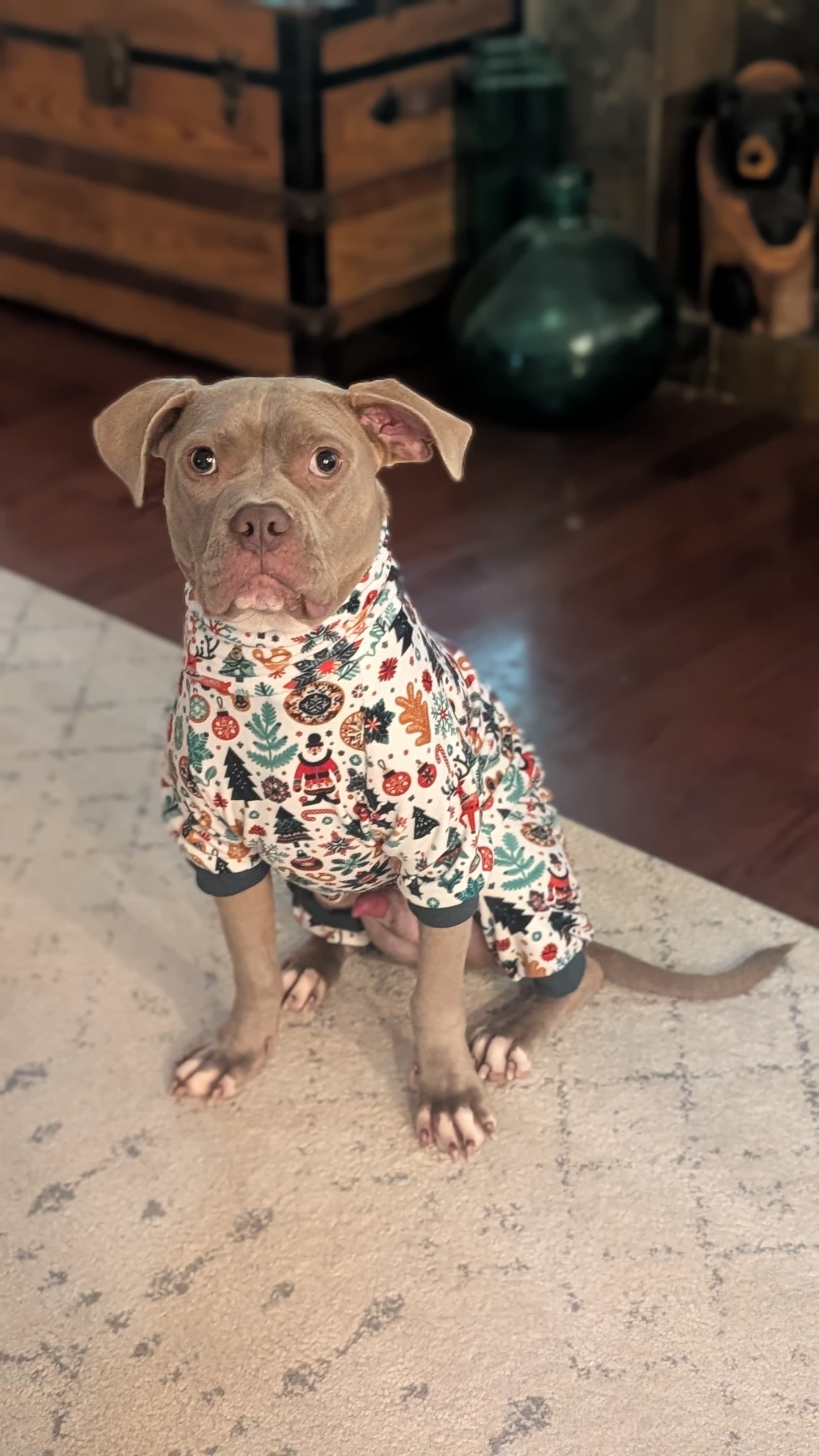 Nordic Holiday Magic Dog Pajama with Dark Green Neck & Trim/Sleeves