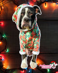 Holiday Mixer - PAWjama with Green Neck & Trim/Sleeves