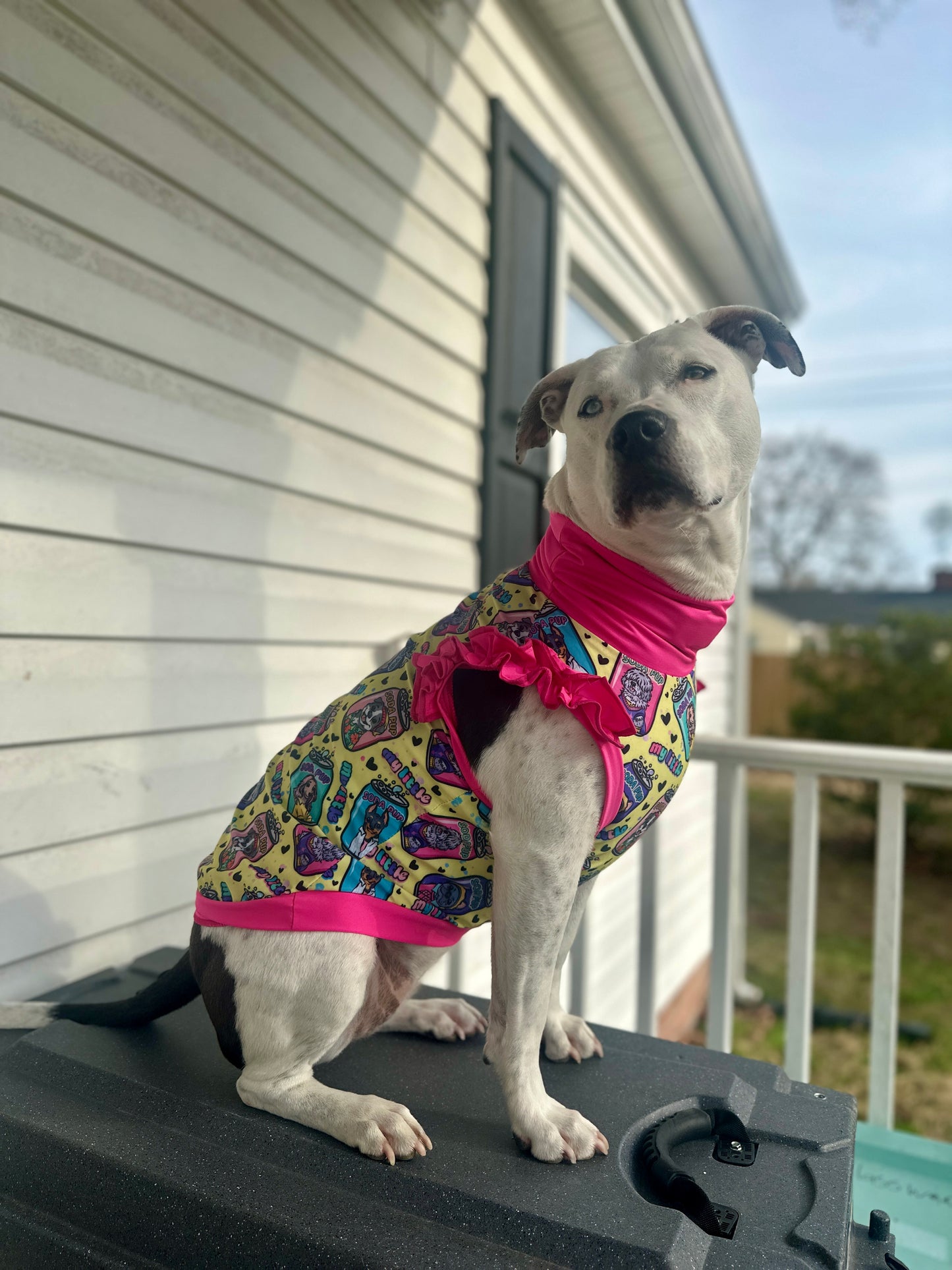 2026 Spring Dog Shirt With Ruffles (AVAILABLE IN ANY PRE-ORDER PATTERN)