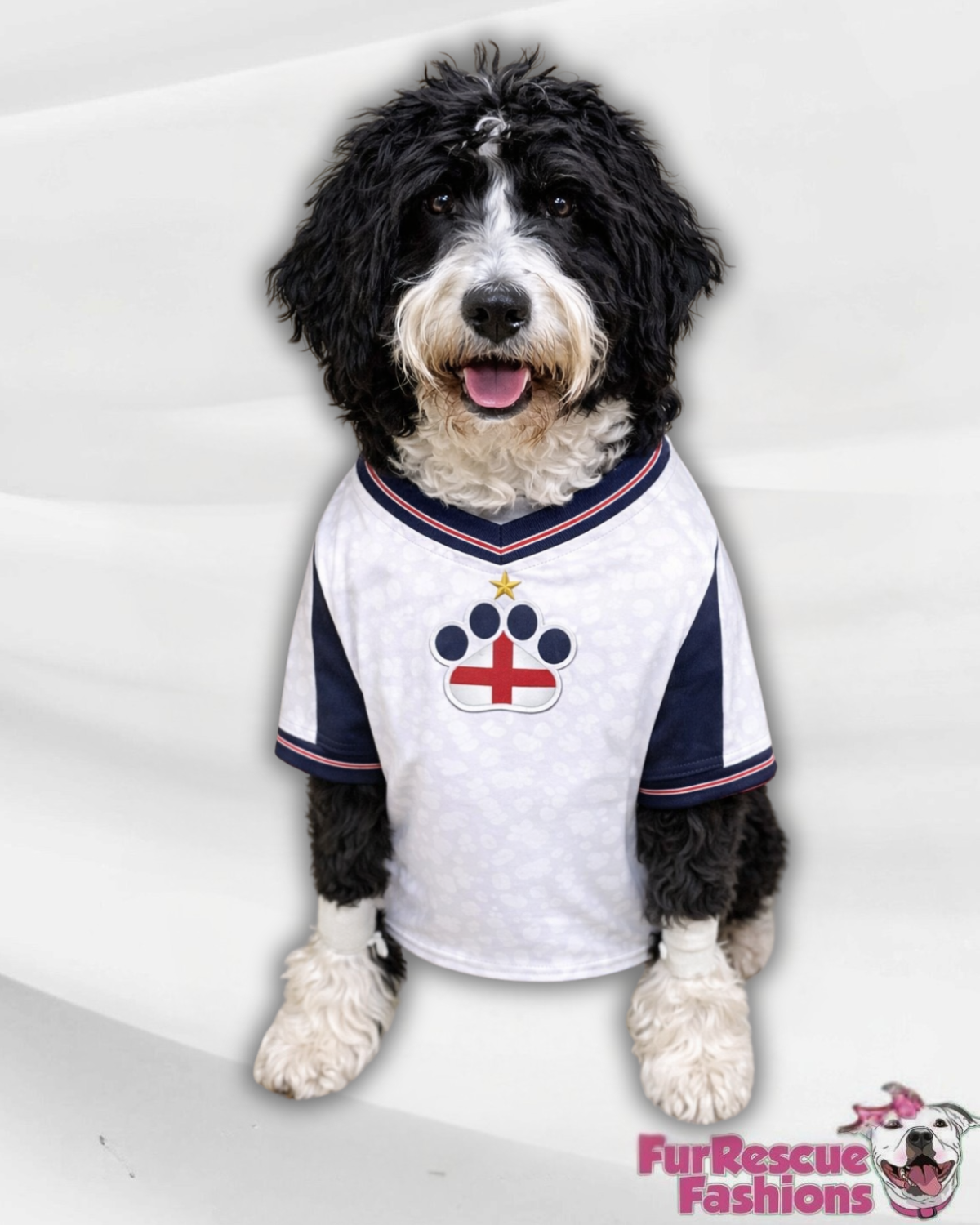 England Dog Jersey or Ruffle Dress – Soccer Cup 2026 | Custom Pet Soccer Shirt ⚽️🐾