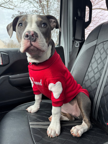 Red Loved Dog Crewneck With Elbow Heart Patches
