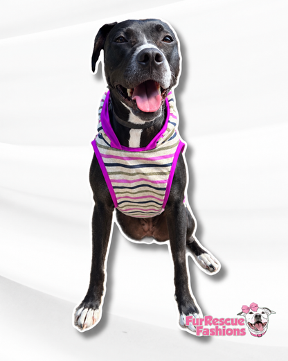 Preppy Stripes Dog & Shirt – Blue or Fuchsia