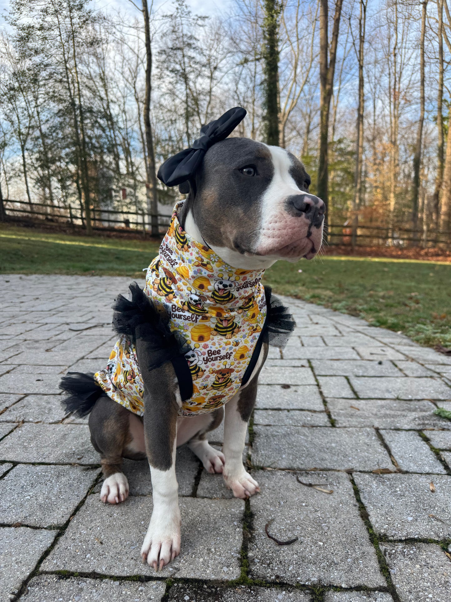 Bee Yourself Pajama with Yellow Neck & Trim/Sleeves