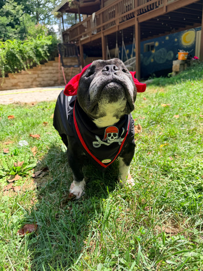 🏴‍☠️ Captain Pawrate – Pirate Dog Costume