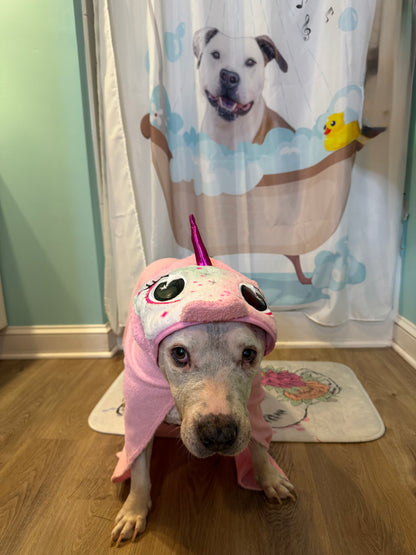 Unicorn Dreams Towel & Blanket
