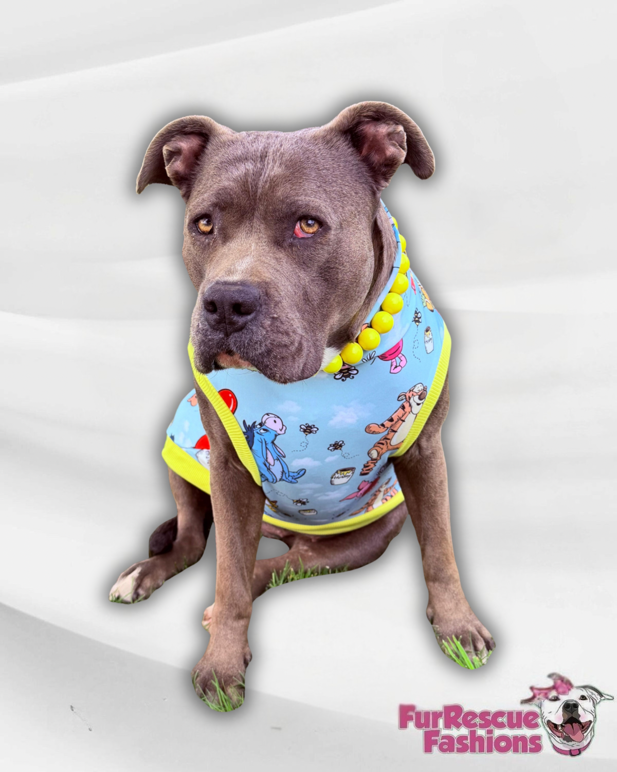 Hundred Acre Cuties, hunny & friends Pajama with Orange or Yellow Neck & Trim/Sleeves