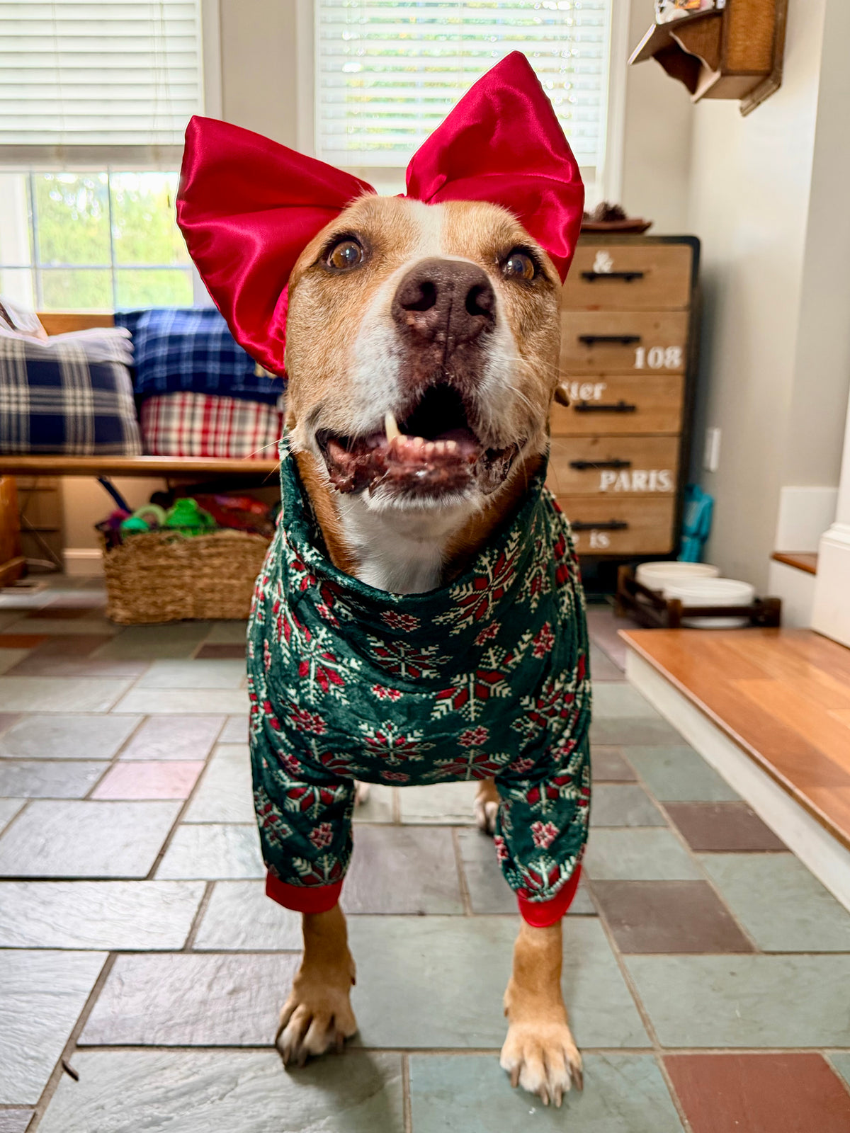 Cozy Christmas Snowflake Fair Isle  - Dog Pajama with Red Neck & Trim/Sleeves
