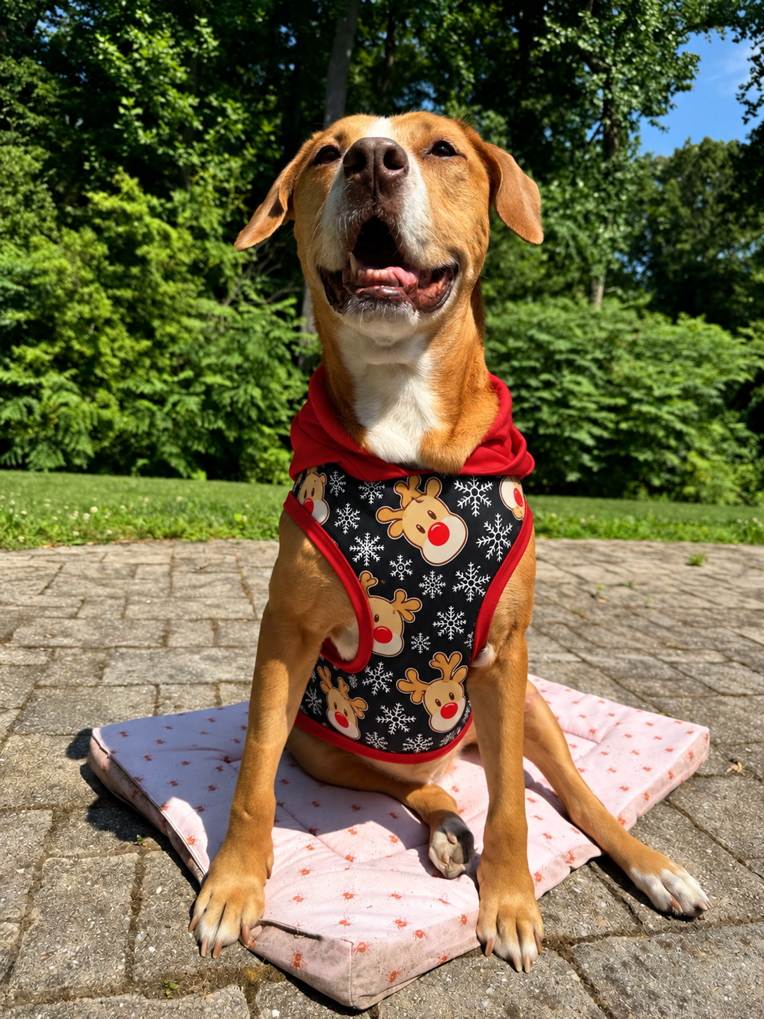 Red-Nosed Reindeer & Snowflakes  Ultra-Luxe - Dog Pajama with Red Neck & Trim/Sleeves