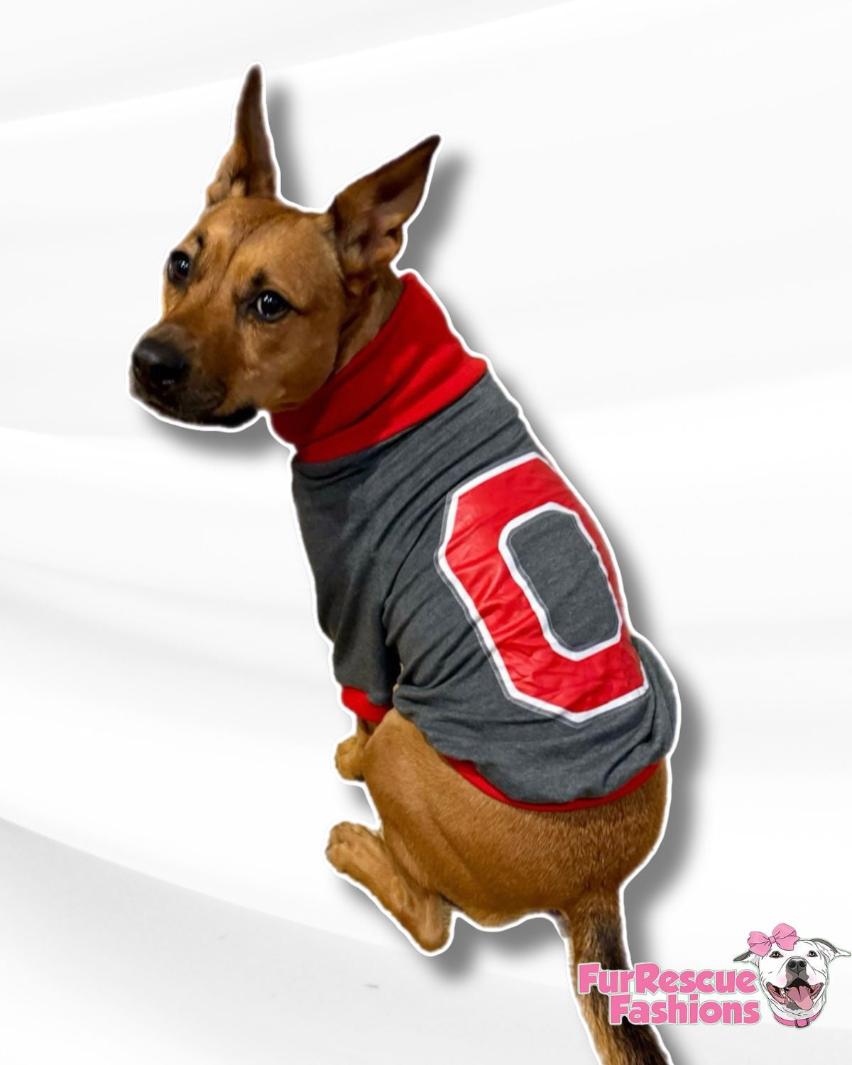 Custom Team Spirit Swag For Dogs & Humans