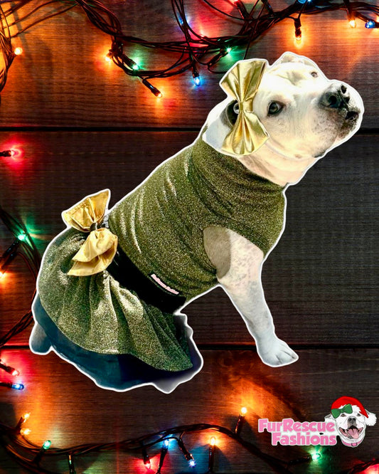 NYE Disco Pawty Dog Dress