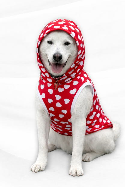 Classic Valentine Dog Pajama with White Neck & Trim/Sleeves