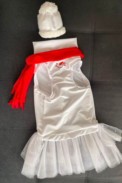 Frosty Kisses Sparkly Dog Tutu Dress
