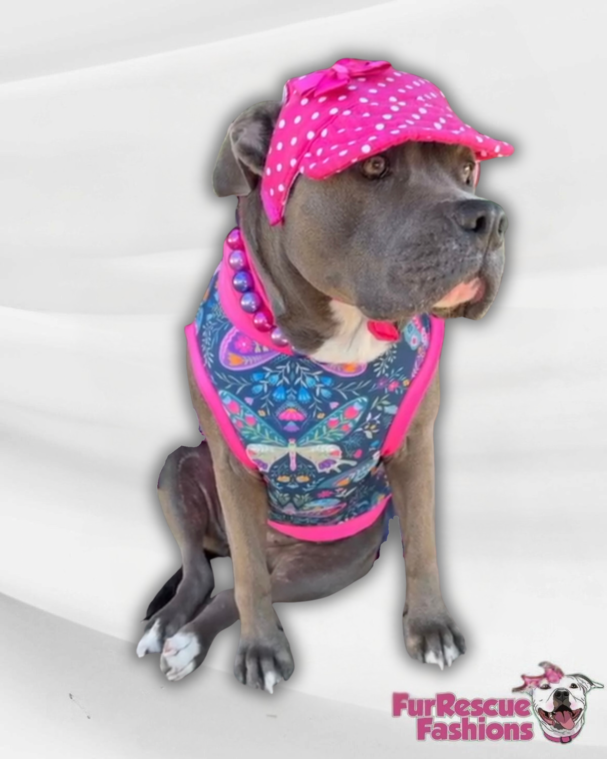 Butterfly Garden Pajama with Hot Pink  Neck & Trim/Sleeves
