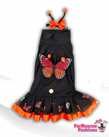 Monarch Magic Dog Dress