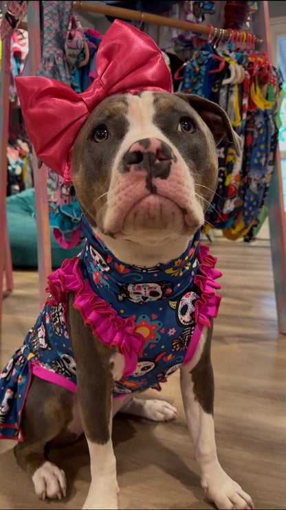 2026 Fall & Halloween Dog Dress With Ruffle / With Sleeves or Sleeveless (Available in any pattern)