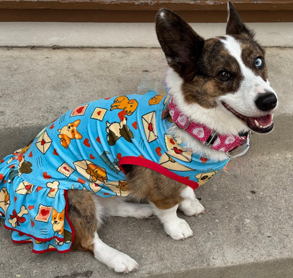 Valentine Mail Day Dog Pajama with Red Neck & Trim/Sleeves