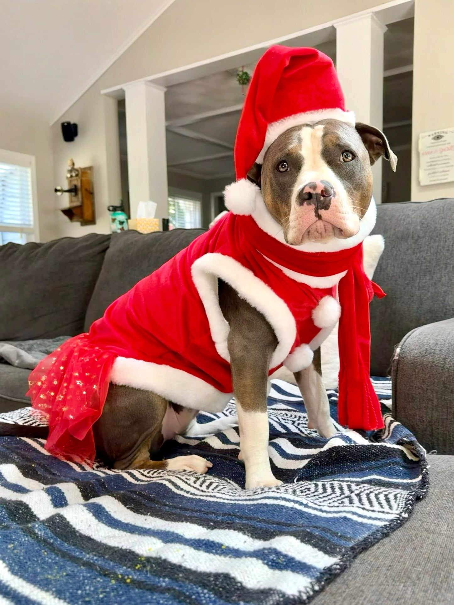 Santa & Pompoms Sleeveless Dog Dress