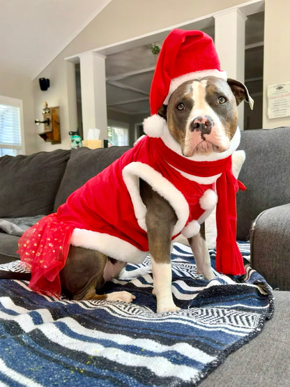 Santa & Pompoms Sleeveless Dog Dress