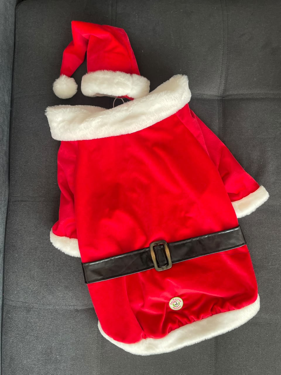 Classic Santa Dog Coat