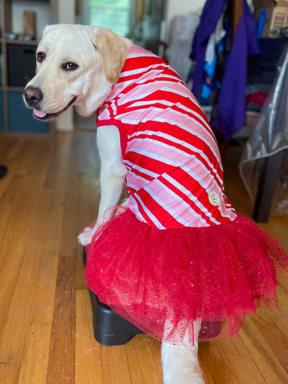 2026 Christmas in July Dog Tutu Dress (Available in all patterns)