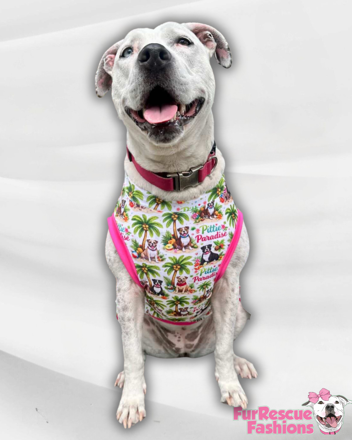 Pittie Paradise - Dog Pajama with Fuchsia Neck & Trim/Sleeves