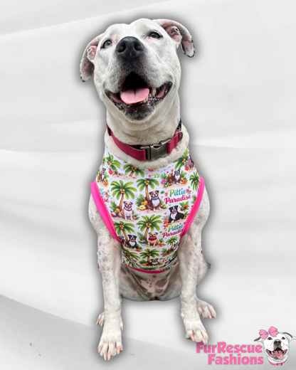 Pittie Paradise - Dog Pajama with Fuchsia Neck & Trim/Sleeves