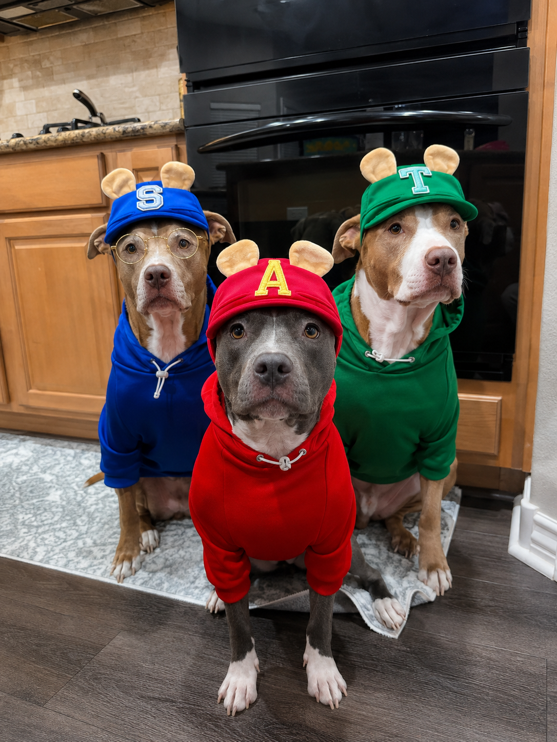 The PAWmunks Dog Hoodie Collection