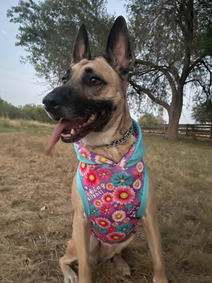 Delighted Daisy Dog Shirt/Dress/4-Legged PAWjama (UV50 Fabric)