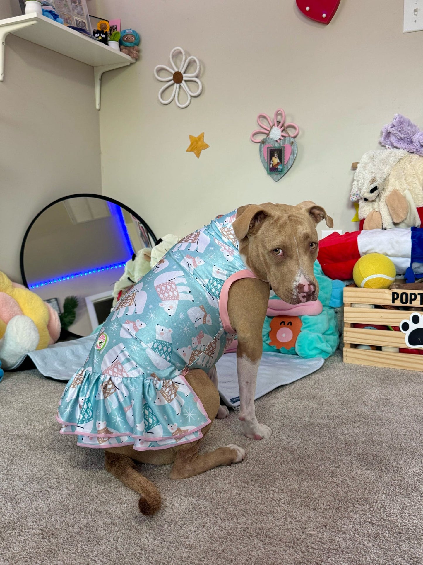 2026 Christmas in July Dog Dress With Ruffle / With Sleeves or Sleeveless (Available in any pattern)