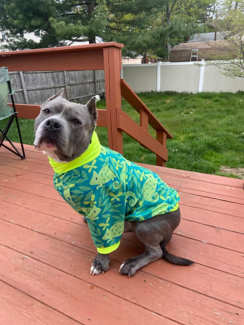 Chillin’ Chameleon - Dog Pajama with Neon Green Neck & Trim/Sleeves
